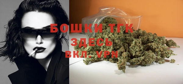 спиды Вяземский