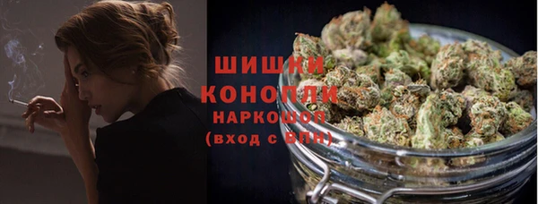 спиды Вяземский