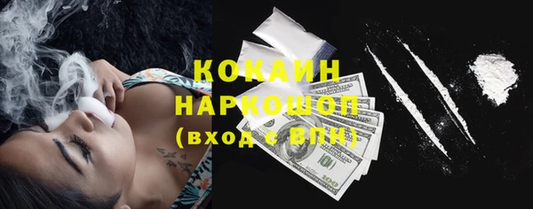 спиды Вяземский
