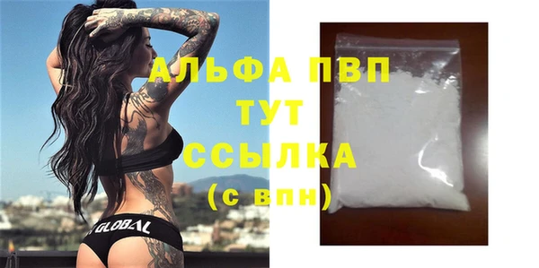 спиды Вяземский