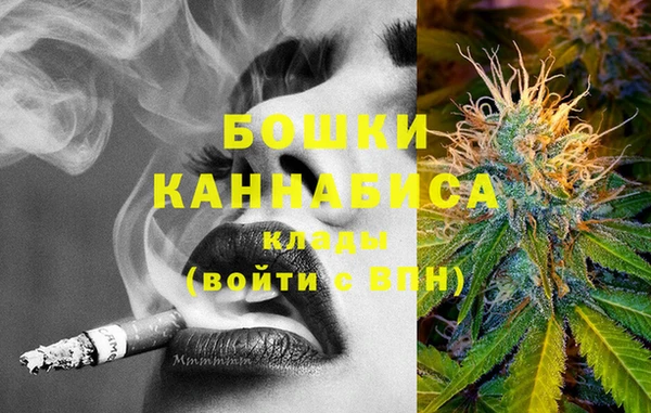 спиды Вяземский
