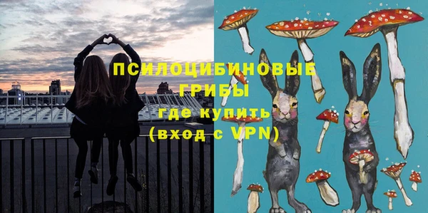 спиды Вяземский