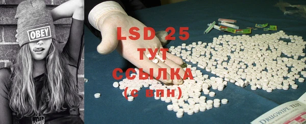 спиды Вяземский