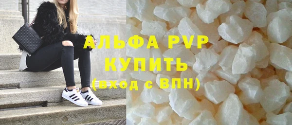 спиды Вяземский